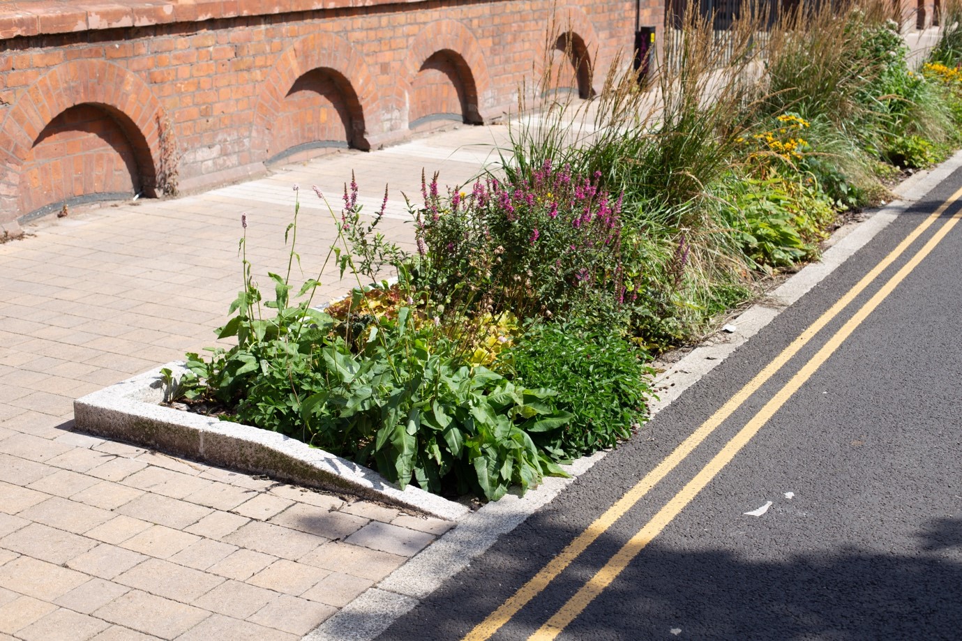 Main image: Roadside sustainable drainage systems in Salford; credit: Shutterstock